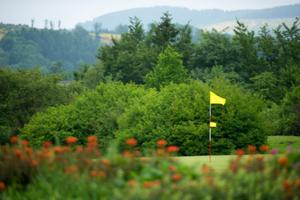 Golfloch hinter Blumen, Golfclub Schmallenberg, Golfanlage Winkhausen